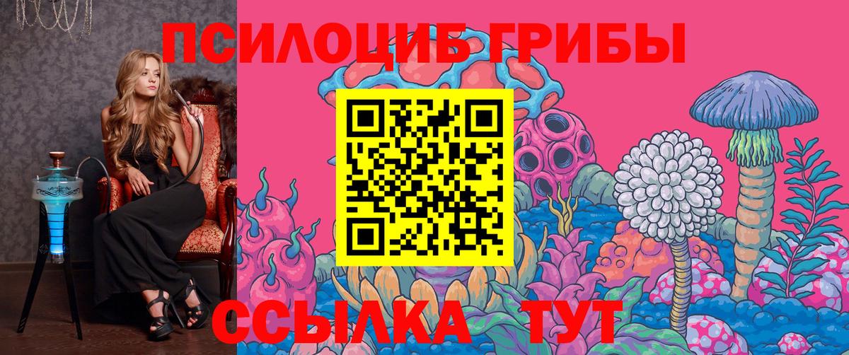 Псилоцибиновые грибы MAGIC MUSHROOMS  Видное  Псилоцибиновые грибы прущие грибы 