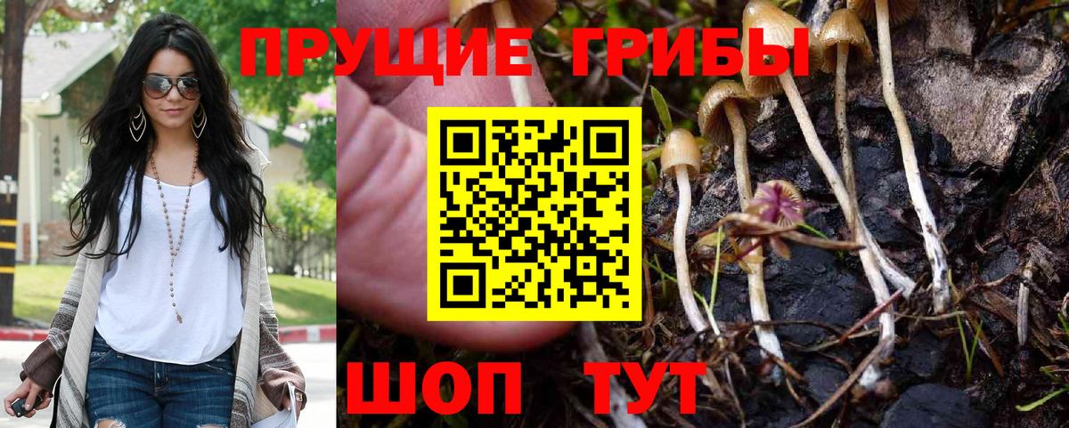 Галлюциногенные грибы ЛСД Видное