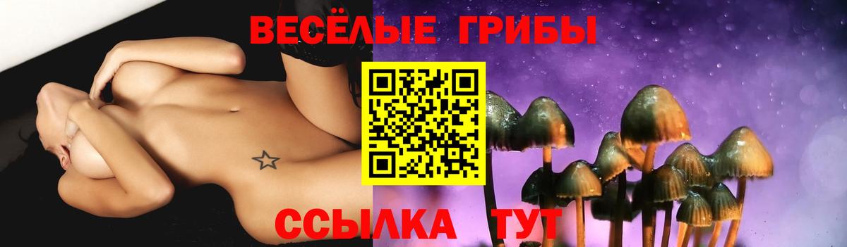 Псилоцибиновые грибы мицелий  Галлюциногенные грибы мицелий  Вход с VPN  Видное 